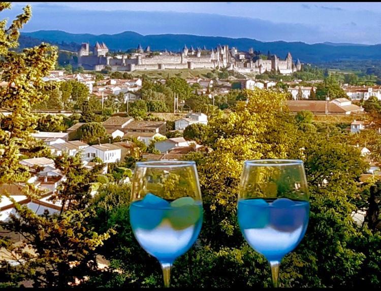 Chambre D'Hote Vue Imprenable Sur Cite - Villa Rose Carcassonne Exteriör bild
